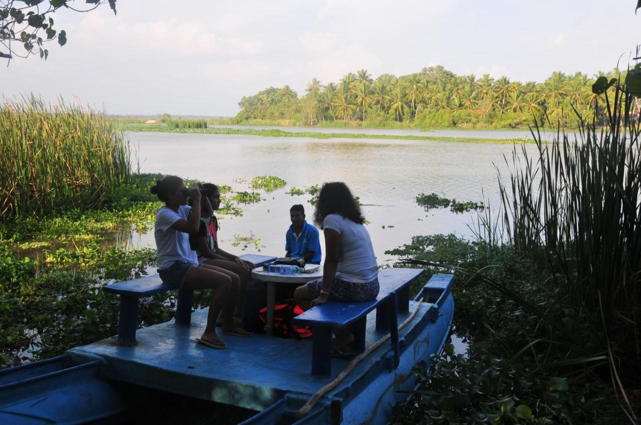 Back Of Beyond - Wellness Retreat Villa Tangalle Ngoại thất bức ảnh